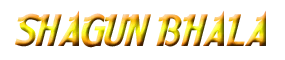 Hot Indian Escorts Logo